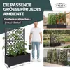 XL Spalier, Pflanzkasten Outdoor - wetterfest, UV- & Produktbild-Vorschau 5