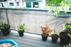 Szara osłona balkonowa uv mata siatka cieniująca balkon z Podgląd zdjęcia produktu 6