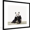 MuchoWow® Gerahmtes Poster Panda - Tiere - Jungen - Mädchen Produktbild-Vorschau 1