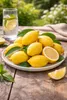 Amalfitano Zitronenbaum 120–140 cm im Topf – Echter Citrus Produktbild-Vorschau 3