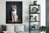 MuchoWow® Poster Katze - Haustiere - Licht 90x120 cm - Produktbild-Vorschau 4