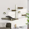 A cat is playing on a wall-mounted cat climbing set in a living room. Produktbild-Vorschau