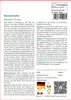 SAFLAX  - Klatschmohn - Papaver rhoeas - 27000 Samen Produktbild-Vorschau 3
