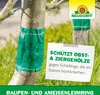 Neudorff Raupen-und AmeisenLeimring 3 m insektizidfrei, Produktbild-Vorschau 6