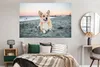 MuchoWow® Poster Hund am Strand 180x120 cm - Fotoplakat Produktbild-Vorschau 5