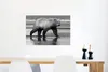 MuchoWow® Poster Jagender Braunbär - schwarz und weiß 90x60 Produktbild-Vorschau 5