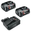 Starter-Set Starter-Set 18V, 2 x Akku PBA 18V 2.5Ah Produktbild-Vorschau 2