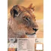Herlitz 10416634, Mehrfarbig, A3, 25 Blätter, 100 g/m², Produktbild-Vorschau 2