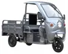 Elektro-Lastendreirad Cargo Cruiser Dach mit Dach 45 km/h Produktbild-Vorschau 2