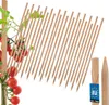 KOTARBAU® 25 Pièces Tuteur Tomate Bois de Hêtre 60 cm Voir les images du produit 1