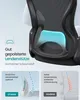 Close-up of the back of an ergonomic office chair, highlighting the lumbar support feature with a blue overlay and text callouts. Produktbild-Vorschau