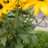 Podpora do roślin, okrągła, 25 cm. Pierścień podtrzymujący Podgląd zdjęcia produktu 4
