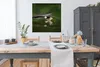MuchoWow® Poster Ein Weißkopfseeadler fliegt sehr niedrig Produktbild-Vorschau 3
