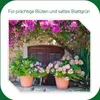 SUBSTRAL® für Balkonpflanzen 2 Liter Volldünger Produktbild-Vorschau 9