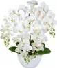 Künstliche Orchidee Weiß – Vierblütig, Kunstpflanze im Produktbild-Vorschau 1