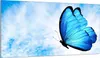 Glasschutzplatte für den Herd 90x52 Butterfly Produktbild-Vorschau 1