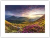 Poster - Poster ohne Rahmen - Gebirge Wiese Landschaft Wald Produktbild-Vorschau 1