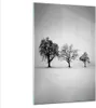 Bilder auf glas - Einteilig - Winter Bäume Schnee - Produktbild-Vorschau 1