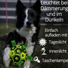 Amico dei cani Calcio per cani Luminoso con maniglie, Anteprima dell’immagine prodotto 4