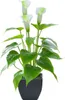 Calla Lilien Künstliche Blumen Eingetopft Künstliche Produktbild-Vorschau 1