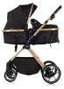 Chipolino Kombikinderwagen Pearl 2 in 1 umbaubar Rucksack Produktbild-Vorschau 7