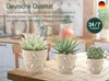 uandu 3er Blumentopf Set. 3 Größen. Blumenständer, Deko, Produktbild-Vorschau 6