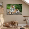 MuchoWow® Poster Tiger - Natur - Steine 120x80 cm - Bilder Produktbild-Vorschau 6