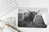 MuchoWow® Mauspad Mousepad Schottischer Hochlandbewohner - Produktbild-Vorschau 5