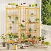 A collection of potted plants displayed on a multi-tiered wooden shelf unit on a porch or deck. Produktbild-Vorschau
