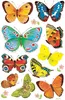 A collage of various colorful butterflies. Voir les images du produit