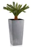 Porto Gris Pot en béton Set 3 pièces Voir les images du produit 7