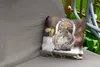 MuchoWow® Outdoor Kissen - Eichhörnchen - Wildtier - Winter Produktbild-Vorschau 2
