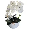 Orchidée artificielle en pot Fleurs artificielles Plantes Voir les images du produit 2