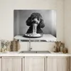 Leinwand Bilder 80x60 cm - Tiere, Komisch - Pudel, Produktbild-Vorschau 3