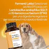 PROBIOTIQUES POUR CHIENS de haute qualité  Italy. Ferments Voir les images du produit 5