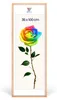 MG Design Bilderrahmen Natur 35x100 cm - Posterrahmen Produktbild-Vorschau 1