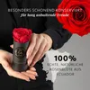 MyFlowers "Infinity" roos - een echte, geconserveerde Productafbeelding-voorbeeld 4