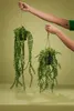 Emerald Kunstpflanze Buchsbaum Hängend in Topf 50 cm Produktbild-Vorschau 16