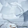 Rosenthal Teekanne klein TAC Gropius Weiss Anteprima dell’immagine prodotto 3