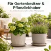 Pflanztopfuntersetzer Mira Taupe Ø 34cm - Frostsicher & Produktbild-Vorschau 8