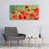 Glasbilder 120x60 Wandbild Druck auf Glas Mohnblumen Produktbild-Vorschau 3