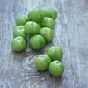 Mirabella-  Can erik  -Veredelt -Prunus cerasifera - 80-100 Produktbild-Vorschau 2