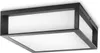A modern, rectangular outdoor ceiling light with a dark frame and a frosted white diffuser. Anteprima dell’immagine prodotto