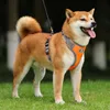 STILVORA Hundegeschirre ausbruchsicher, Hundegeschirr Produktbild-Vorschau 11