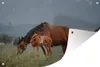 MuchoWow® Produktbild-Vorschau 1