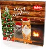 Nobby Calendario dell'Avvento StarSnack per gatti Anteprima dell’immagine prodotto 3