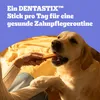 Pedigree Dentastix 56szt. 1440g Przysmak Dentystyczny z Podgląd zdjęcia produktu 15