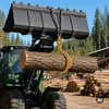 Lesnícke kliešte Wiltec na kmene stromov do 620 mm, ťažná Náhľad obrázku produktu 7