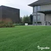 Topdressing Trawników – Mieszanka z Mykoryzą i Podgląd zdjęcia produktu 2
