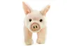 Maiale di peluche 23 cm - ECO-FRIENDLY Anteprima dell’immagine prodotto 3